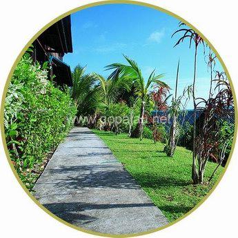玫瑰园海景小木屋path
